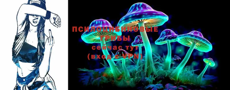 даркнет сайт  Струнино  Галлюциногенные грибы Psilocybine cubensis 